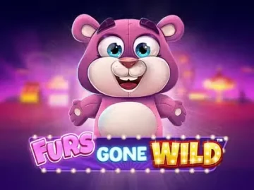 Box.Bet Casino screenshot